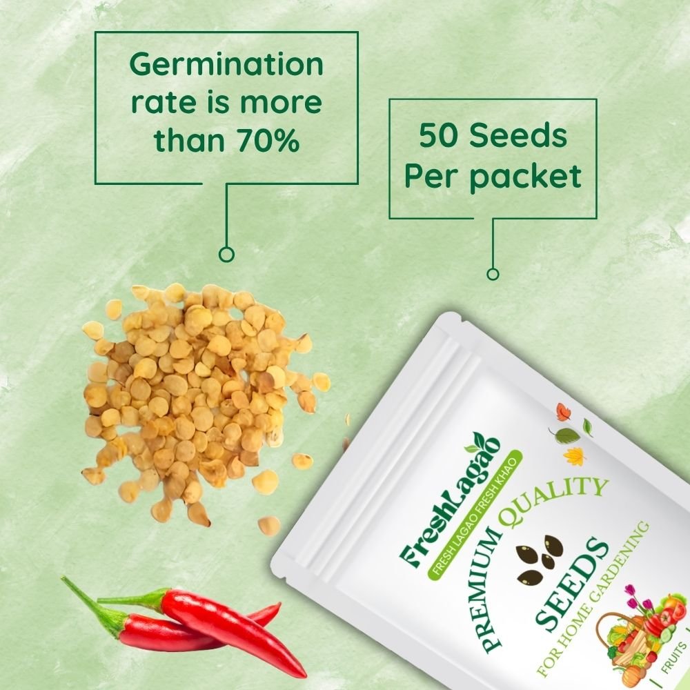 Kashmiri Chilli Hybrid Seeds (Kashmiri Laal Mirch ke Beej / कश्मीरी मिर्च के बीज) - Image 2