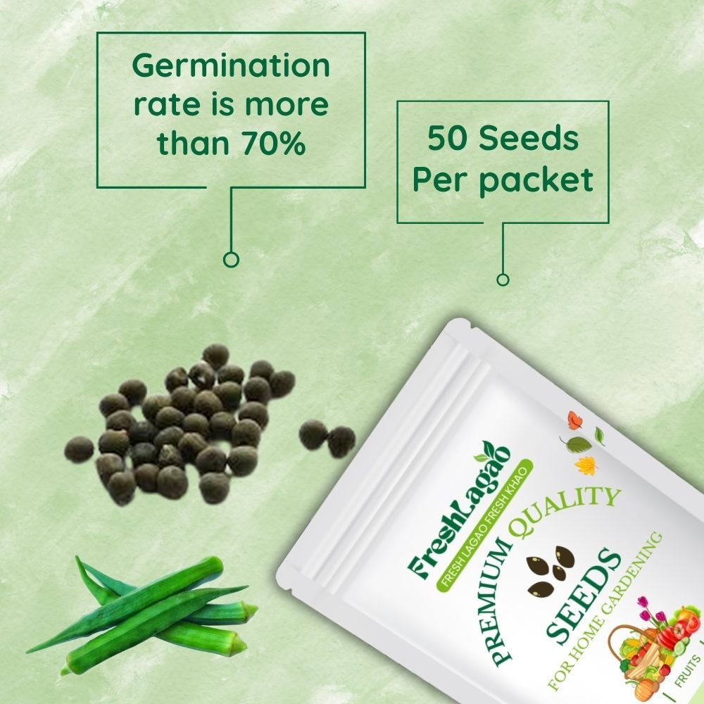 Okra or Lady Finger Hybrid Seeds (bhindi)(भिंडी के बीज) - Image 2