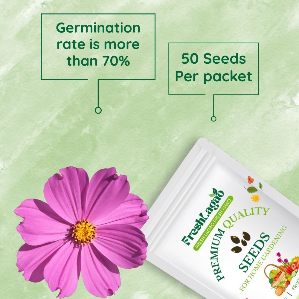 Cosmos Sensation Mixed Seeds - Image 2