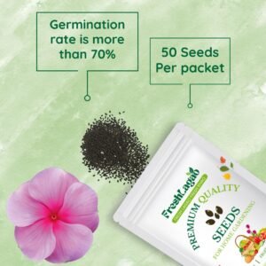 Vinca Pacifica XP Mix Hybrid Seeds (Periwinkle/ Sadabahar/सदाबहार के बीज)