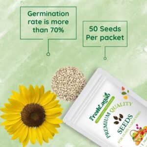 Sunflower Seeds(Yellow) (Surajmukhi/सूरजमुखी के बीज)