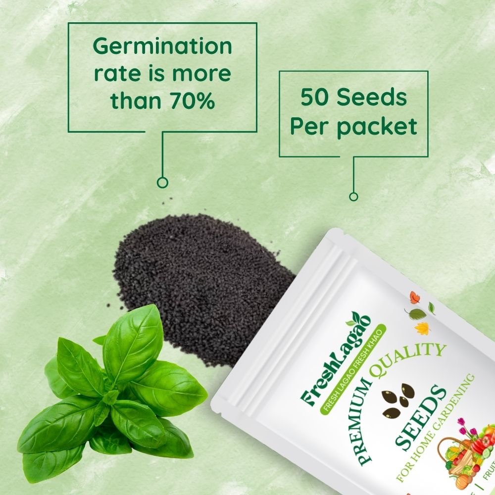 Basil Microgreen Seeds - 10g (Tulsi/तुलसी के बीज) - Image 2