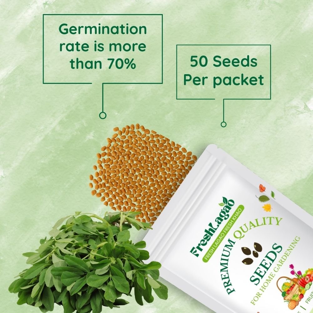 Fenugreek Microgreens Seeds (50g) - Image 2