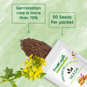 Mustard Microgreen Seeds (25g)
