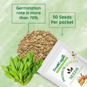 Spinach Microgreen Seeds (25g)