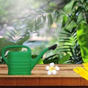Watering Can With Detachable Sprinkler Green