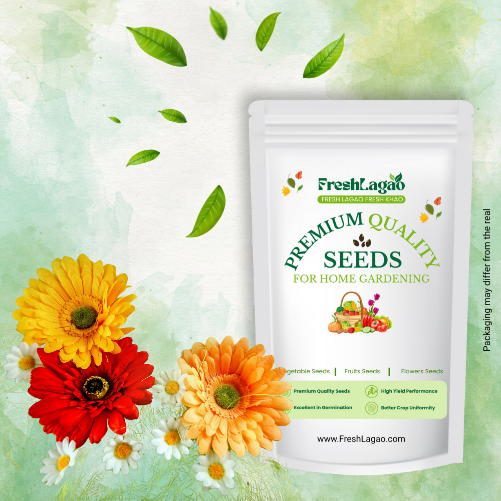 Gerbera Mixed Color Flower