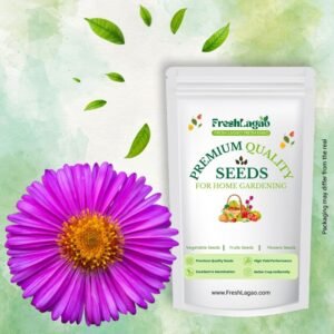 China Aster Pink Seeds