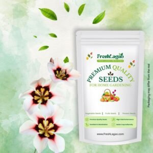 Sparaxis Mixed Color Flower Bulbs