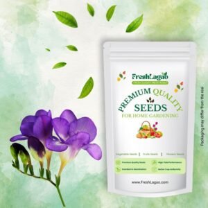 Freesia Purple Flower Bulbs