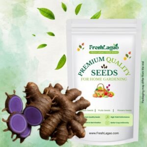 Original Black Turmeric