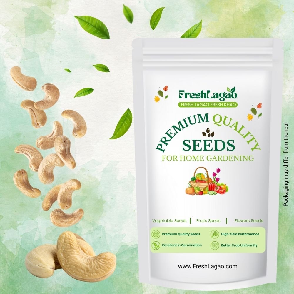 Cashew (Kaju Beej) Seeds