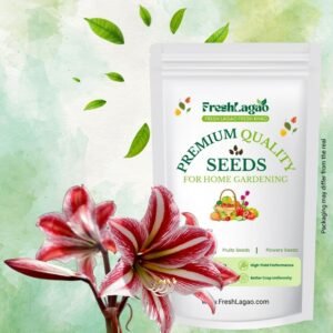Amaryllis Lily Mix Flower Bulb