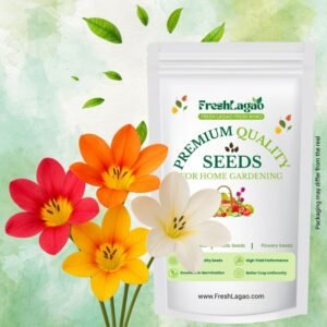Tritonia Mixed Color Flower Bulbs