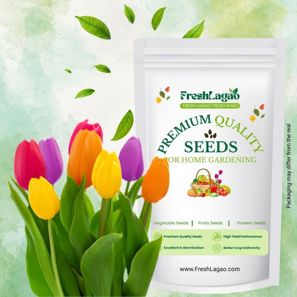 Tulip Mixed Color Flower Bulbs