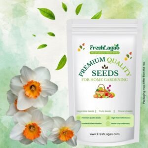 Ixia Mixed Color Flower Bulbs