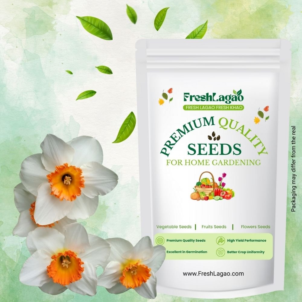 Ixia Mixed Color Flower Bulbs