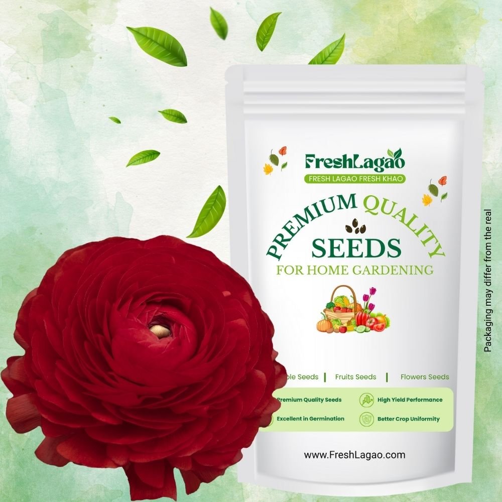 Ranunculus Red Flower Bulbs