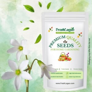 Oxalis Versicolor Flower Bulbs