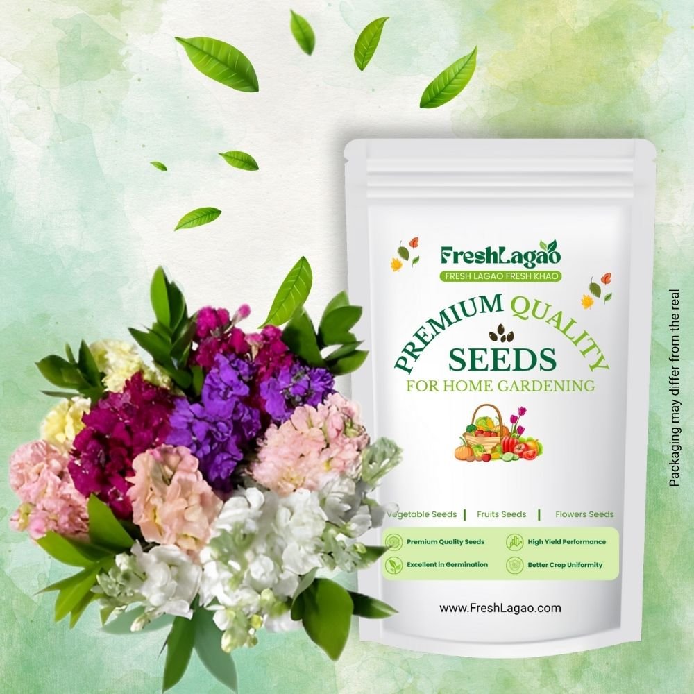 Stock Mixed Color Flower Seed