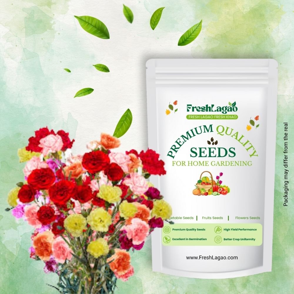 Carnation Mix Seeds