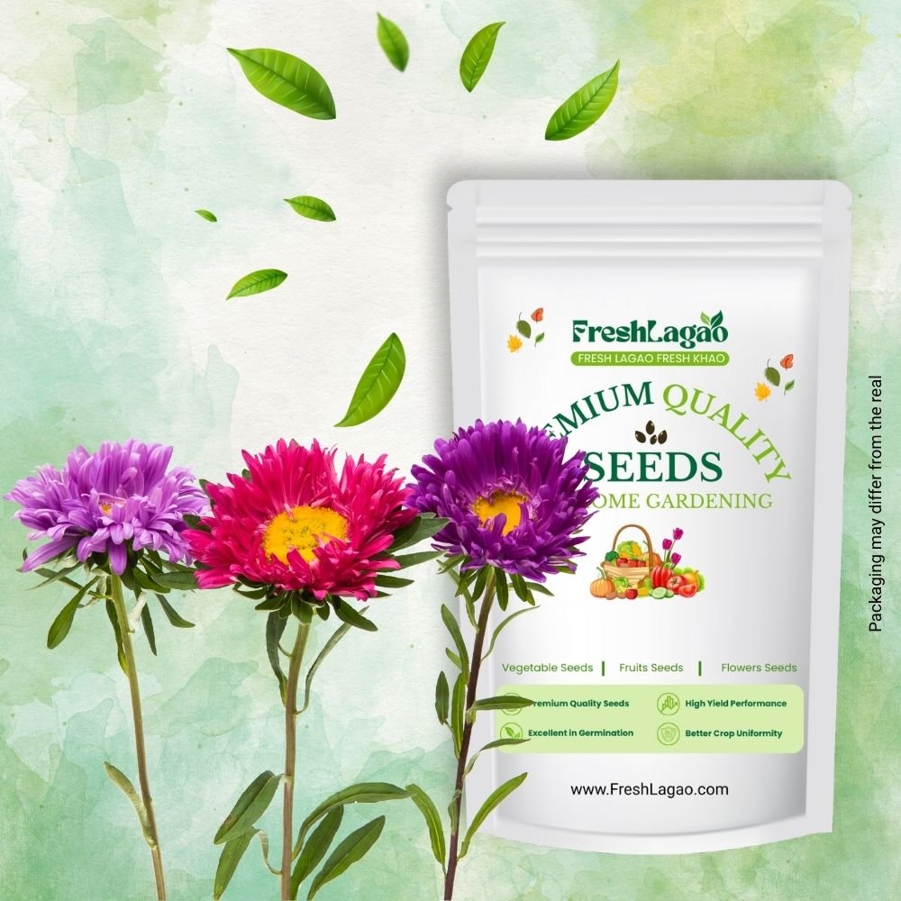 Aster Formula Mix Seeds