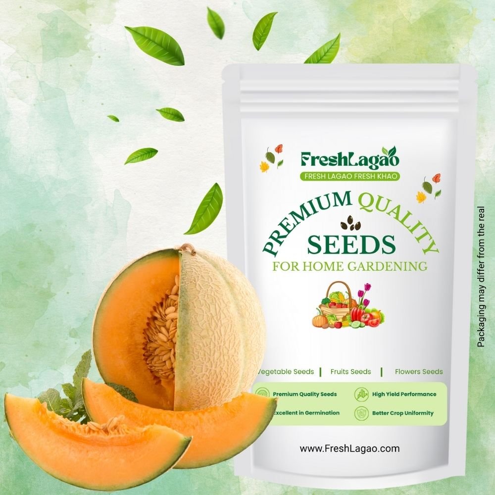 Musk Melon Seeds
