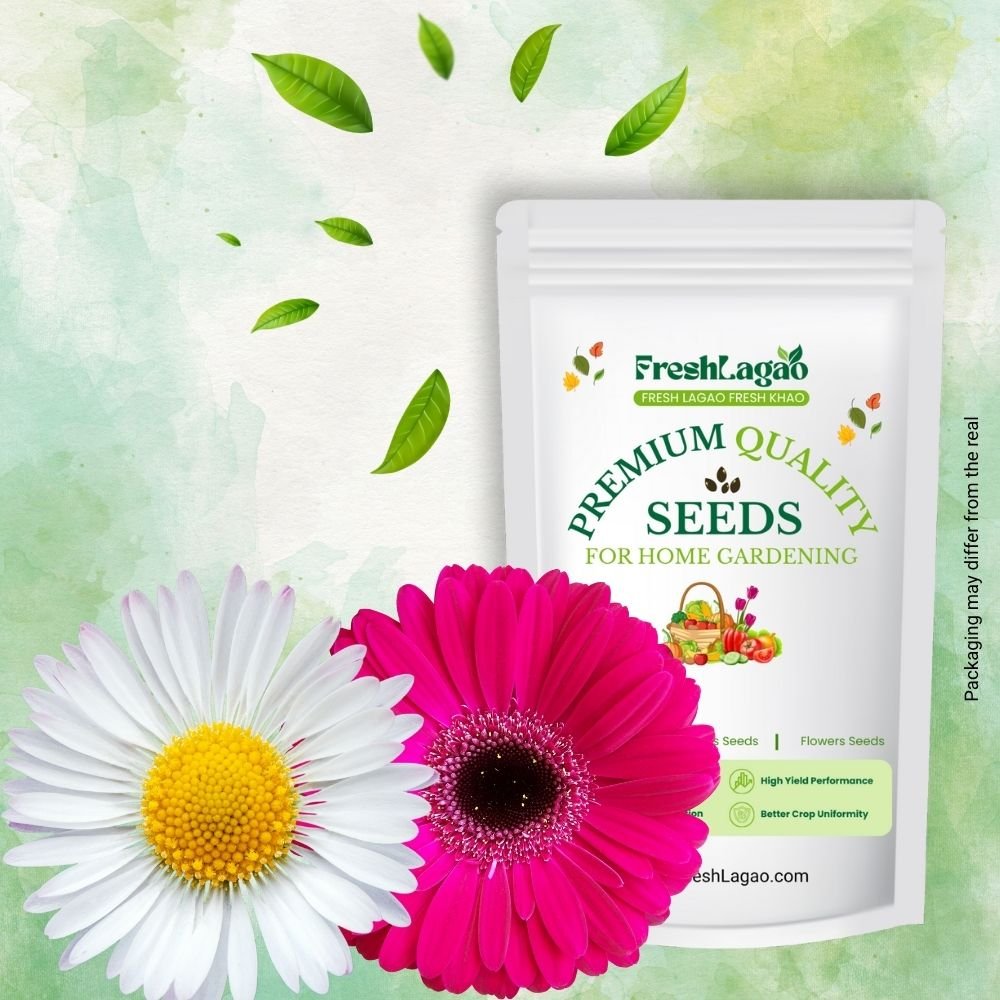 Daisy Double Mix Seeds