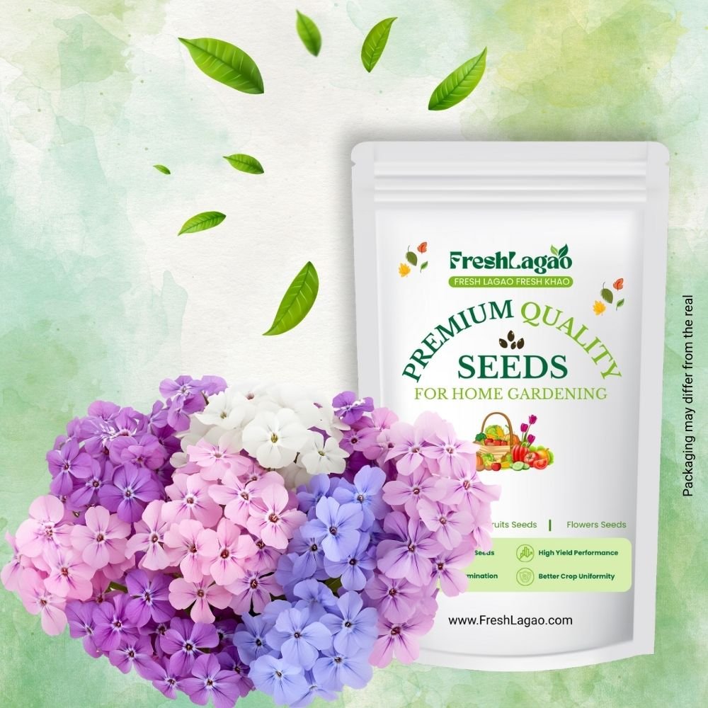 Phlox Beauty Dwarf Mix Seeds