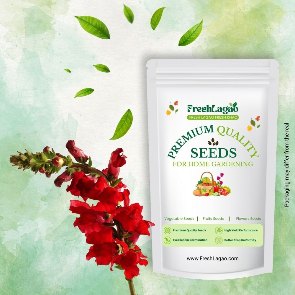 Antirrhinum Tom Thumb Dwarf Mix Seeds