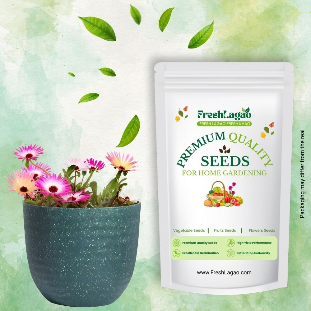 Mesembryanthemum Mix Seeds