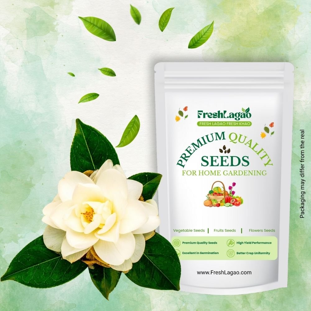 Balsam Camellia Flowered Mix Seeds