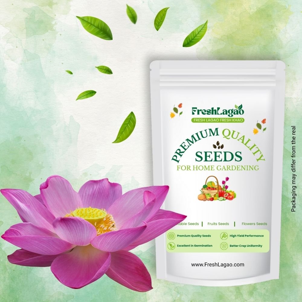 Lotus Flower Mixed Color Seeds