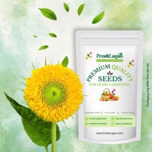 Sunflower Teddy Bear Seeds