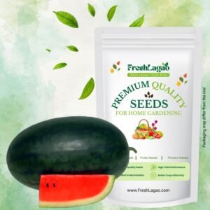 Watermelon Oval Dark Green