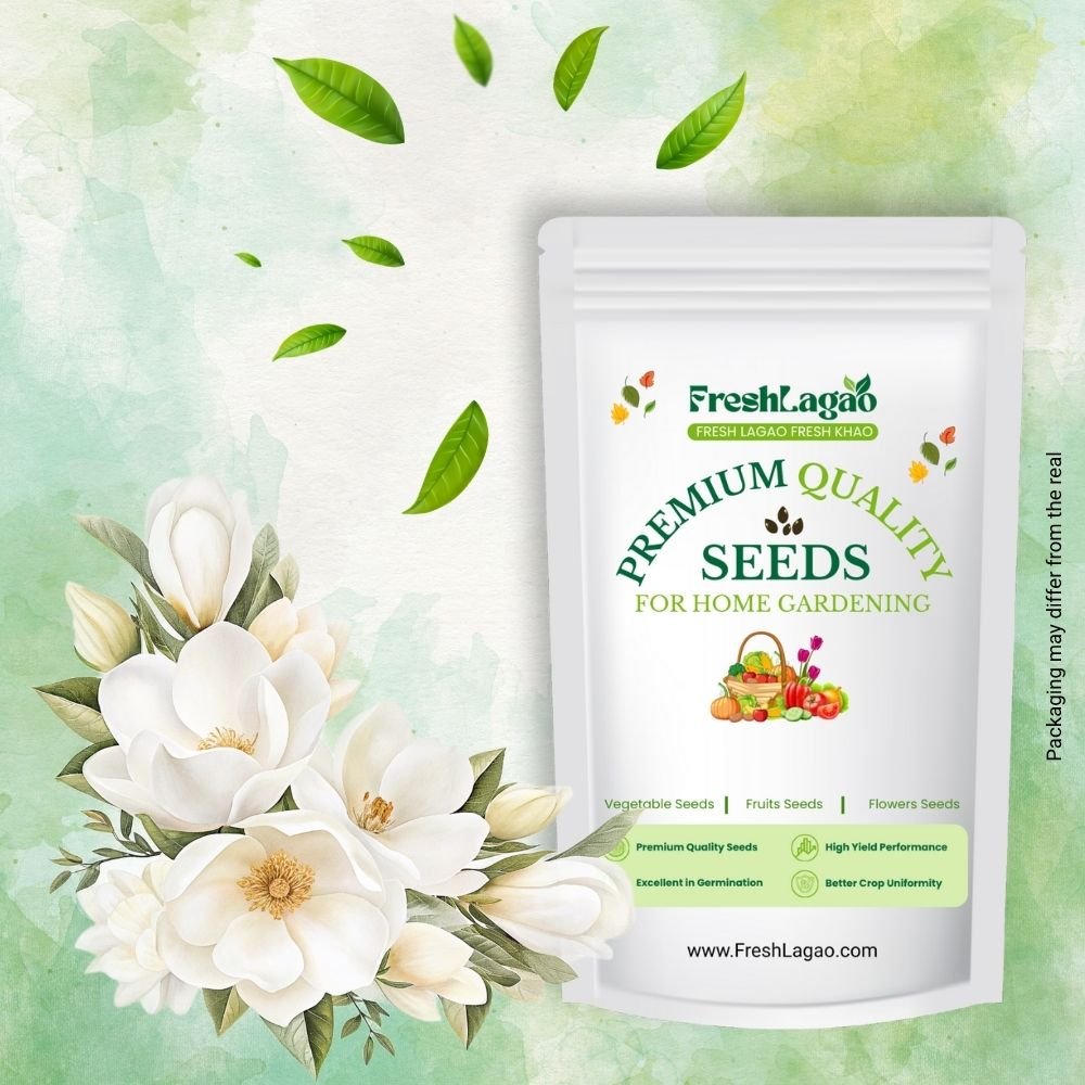 Alyssum White Flower Seeds