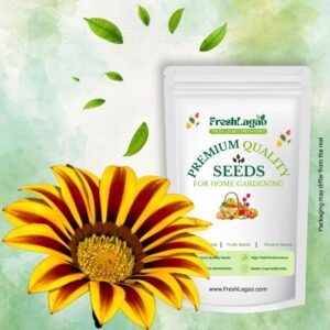 Gazania Star Light Dwarf Mix seeds