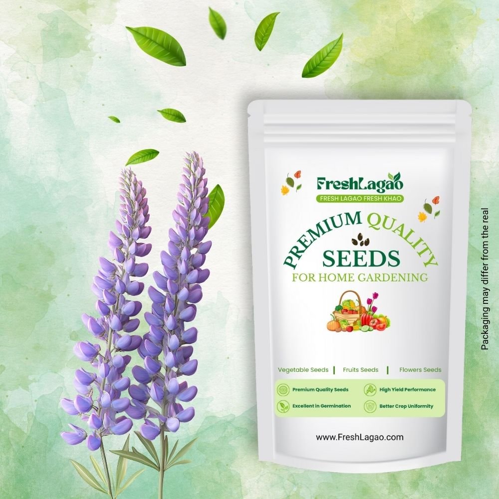 Lupin (Bluebonnet) Hartwegii Pixie Mix Seeds
