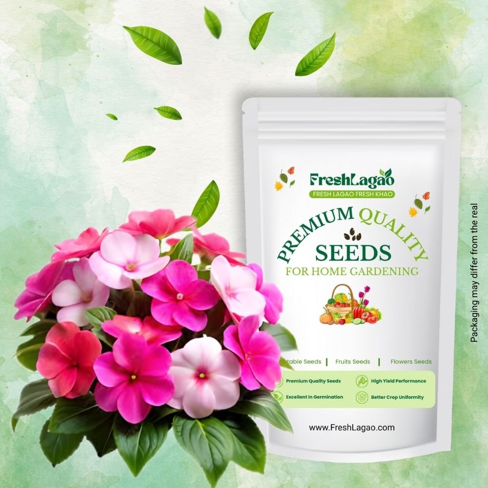 Balsam Tom Thumb Mix Seeds