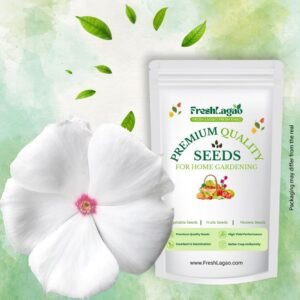 Vinca Pacifica XP Mix Seeds