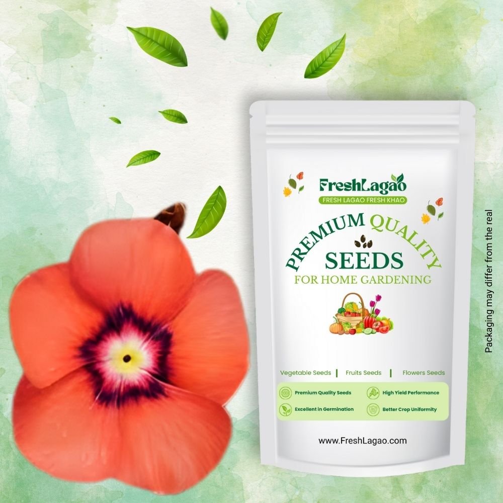 Vinca Pacifica XP Orange Seeds