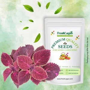 Coleus Rainbow Mixed Seeds
