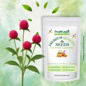 Gomphrena Strawberry Fields flower Seeds