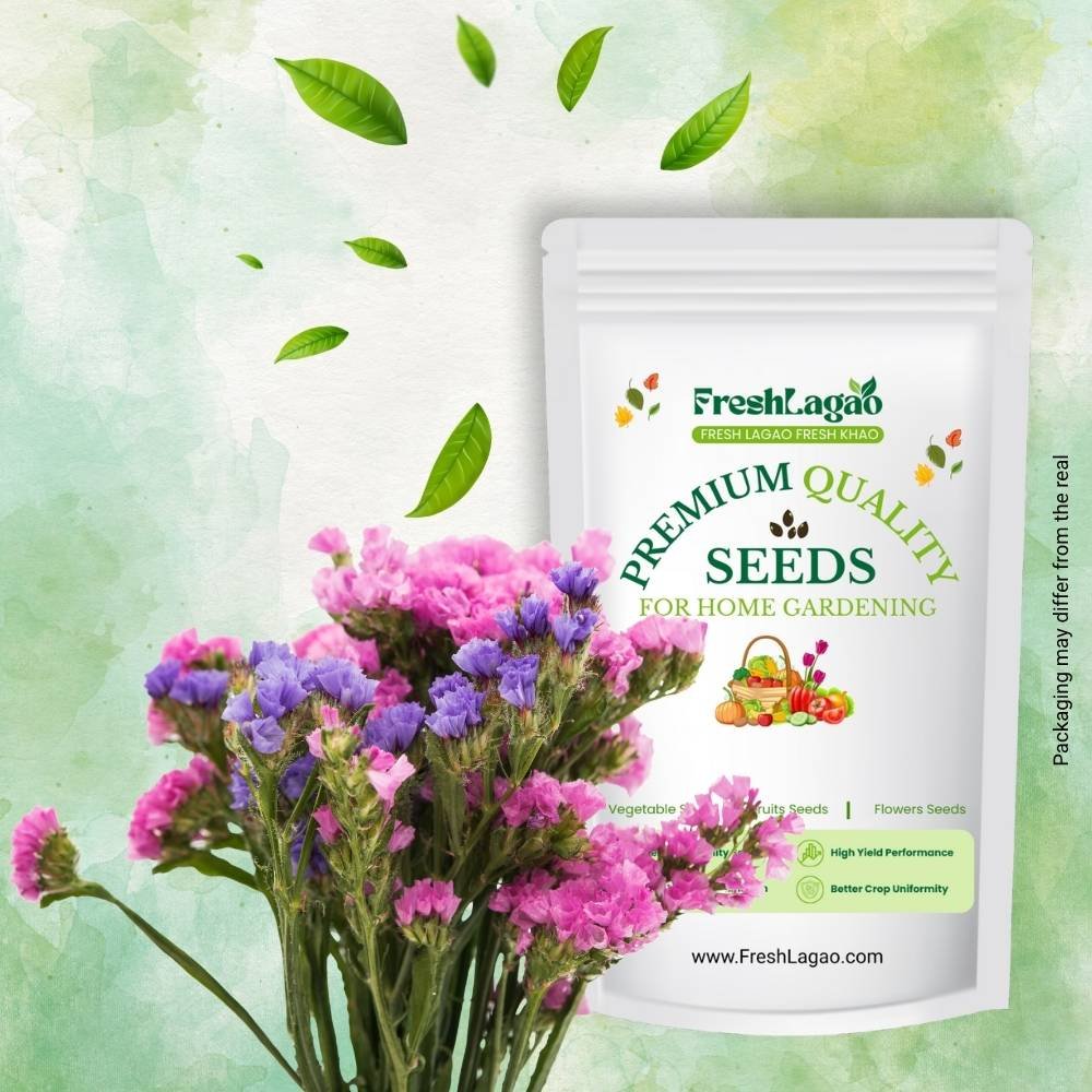 Statice Pacific Mix Seeds