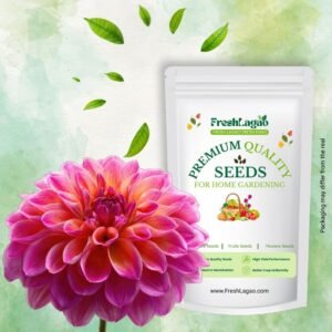 Dahlia Variabillis Figaro Type Imperial Mix Seeds