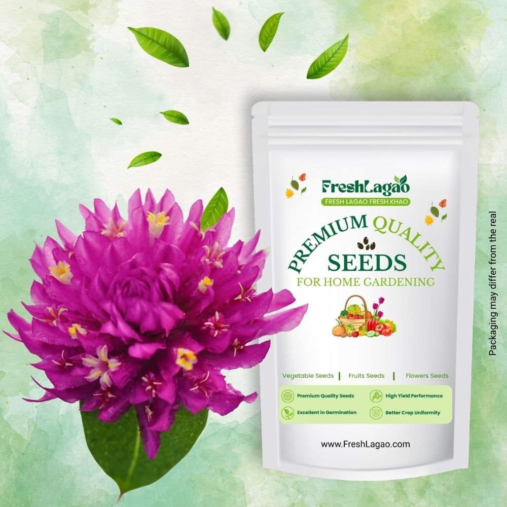 Gomphrena Choice Mixed Seeds