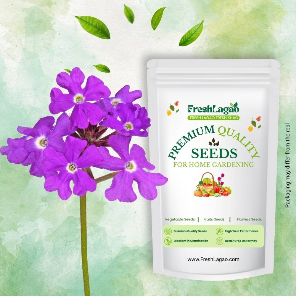 Verbena Ideal Florist Mix Seeds