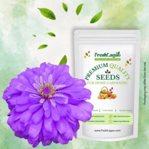 Zinnia Purple Flower Seeds