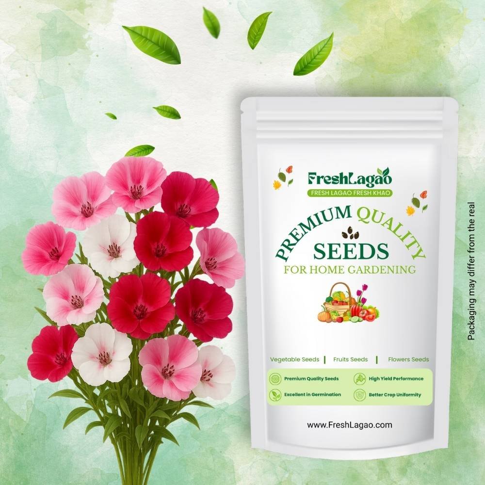 Godetia Azaleaflora Mix Seeds