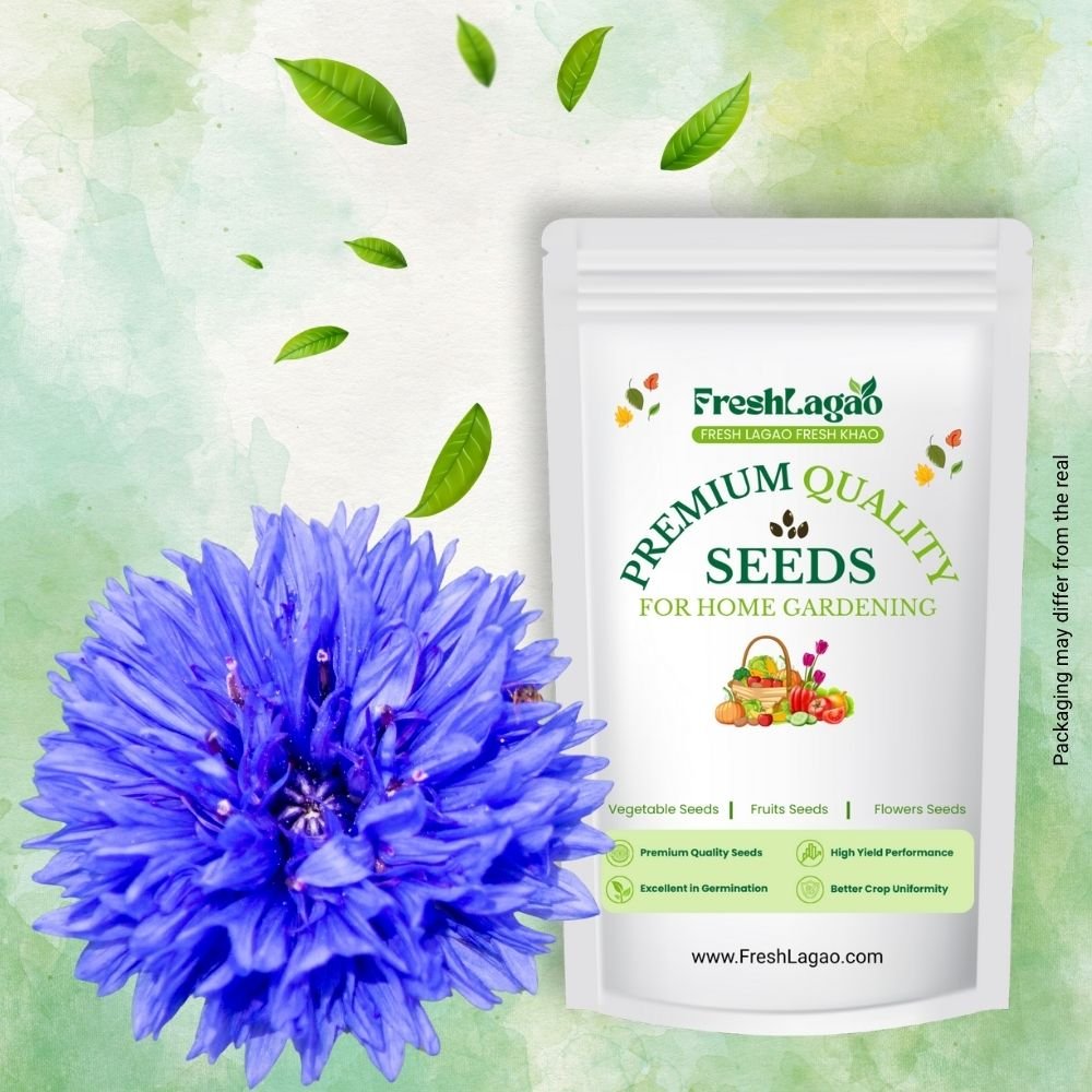 Cornflower Dwarf Double Polka Dot Mix Seeds